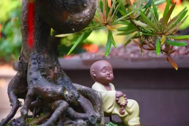 金子般的9句话,值得一看 金子般的9句话,值得一看