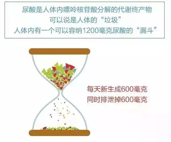 【听健康】再不看就晚了! 1.2亿人患上了“第四高”! 比三高还危险 【听健康】再不看就晚了! 1.2亿人患上了“第四高”! 比三高还危险
