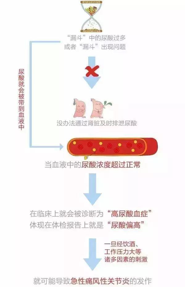 【听健康】再不看就晚了! 1.2亿人患上了“第四高”! 比三高还危险 【听健康】再不看就晚了! 1.2亿人患上了“第四高”! 比三高还危险