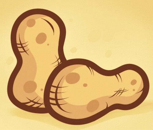 听说坚果热量多、脂肪高?一吃就停不下来的魔性坚果 究竟要怎么吃? 听说坚果热量多、脂肪高?一吃就停不下来的魔性坚果 究竟要怎么吃?