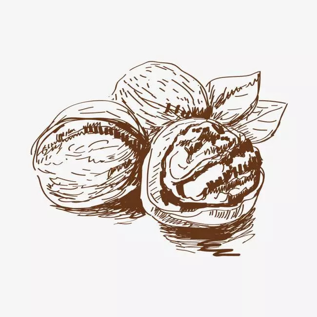 听说坚果热量多、脂肪高?一吃就停不下来的魔性坚果 究竟要怎么吃? 听说坚果热量多、脂肪高?一吃就停不下来的魔性坚果 究竟要怎么吃?