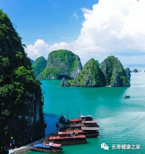 天天锻炼还老生病?露露告诉你为什么,再送你7个健康口诀。 天天锻炼还老生病?露露告诉你为什么,再送你7个健康口诀。