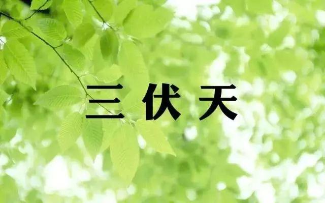 今日入伏:最易生病的40天来了,不论男女都要这样做!三伏避暑邪祛病根! 今日入伏:最易生病的40天来了,不论男女都要这样做!三伏避暑邪祛病根!