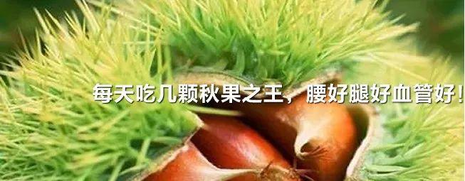 十年后,最好的礼物,不是房子和存款,而是…… 十年后,最好的礼物,不是房子和存款,而是……