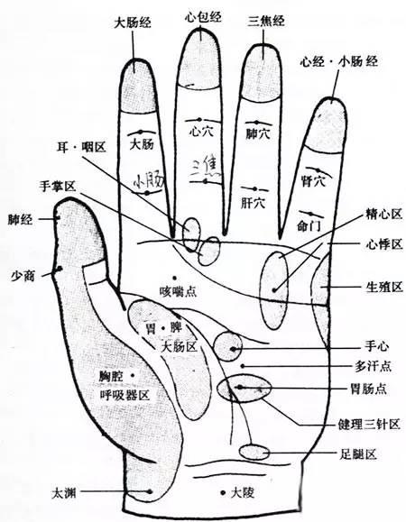 flora富兰官网 | 护士茶 | udo油 | 益生菌| 加拿大百年有机营养品